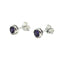 Sterling Silver & Amethyst Earrings (E666AFT)